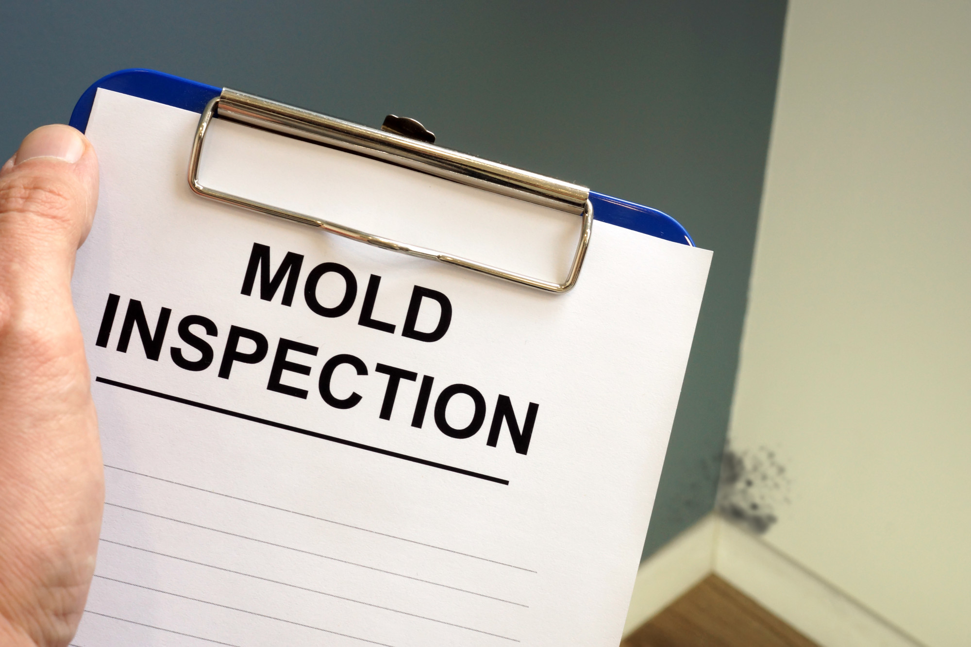 What Are the Benefits of Mold Inspections?